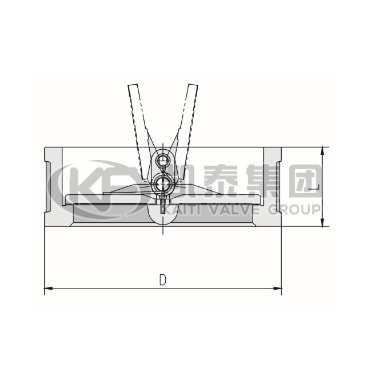 對夾雙瓣旋啟式止回閥